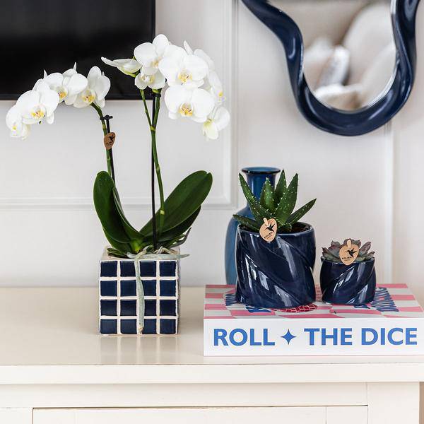 Dekotopf Candy – Blau – Ø6cm – Farbiger Keramik Blumentopf in glänzender Optik – Runde Form – Für Mini-Pflanzen & Orchideen – Plant