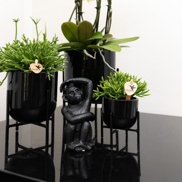 Kerzenständer Deko Schwarz Polystone ↕13cm – dekorativer Kerzenhalter, Tischdeko & Wohnaccessoire für Zuhause – Plant