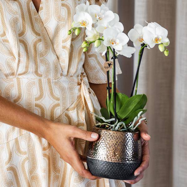 Blumentopf Elite Kupfer – Ø9cm – Moderner Keramik Übertopf – Dekorativer Pflanztopf für kleine bis mittelgroße Zimmerpflanzen – Stilvolle Innendeko – Plant