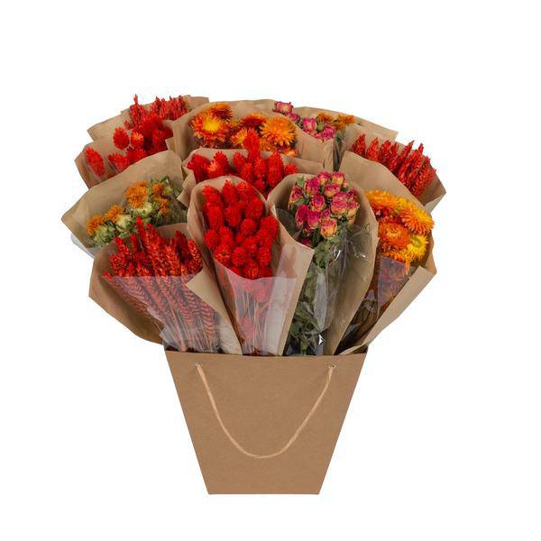Getrocknete Blumen – Mono Mix – Orange – ↕50cm – Handgebundener Strauß – Langlebig & pflegeleicht – Dekoration & Geschenkidee – Plant