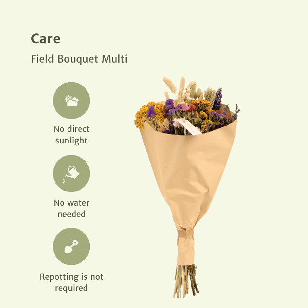 Trockenblumen Feldblumenstrauß Multi Ø25cm ↕60cm – dekorativer Trockenblumenstrauß für Vase, Tischdeko, Wohnzimmer & Geschenkidee – Plant