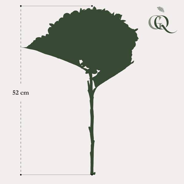 Künstliche Blumenstrauß Hortensien Blau – 8 Zweige je 52cm – Realistische Kunstblumen – Zeitloser Deko Blumenstrauß – Plant