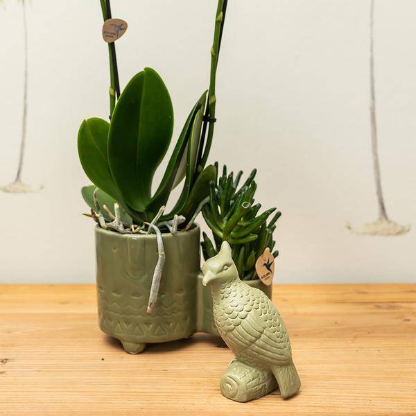 Deko – Kakadu auf Stab – Grün – 12cm – Ornament aus Polystone – Zierfigur für Blumentöpfe & Pflanzensets – Stylischer Vogel als Deko – Highlight – Plant