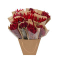 Getrocknete Blumen – Strauß Mono Mix Rot – Handgebunden – ca. 50cm – Nachhaltige Trockenblumen Deko für Vase, Tisch & Geschenk – Plant