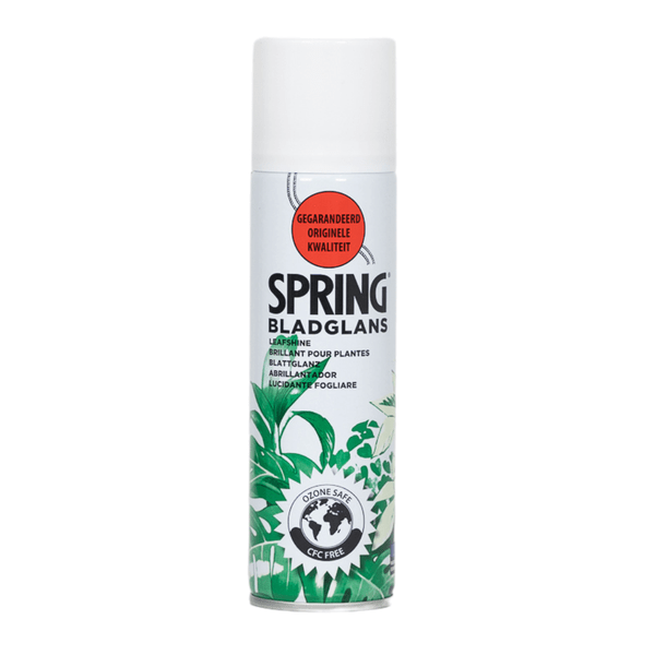 Blattglanz Spray – 750ml – Pflegespray für Zimmer – & Zierpflanzen – Entfernt Staub & Wasserflecken – Für glänzende, gesunde & frische Blätter – Plant
