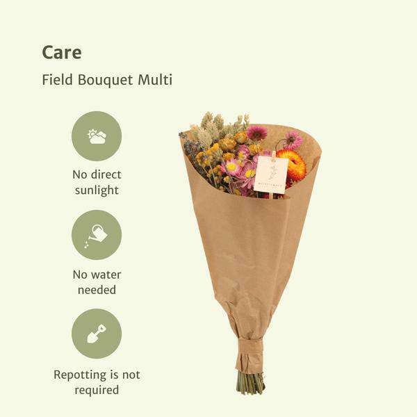 Trockenblumenstrauß Field Bouquet Multi – 8 Sträuße – bunter Trockenstrauß – ca. 50cm Höhe Ø20cm – 12 getrocknete Blumen – Plant
