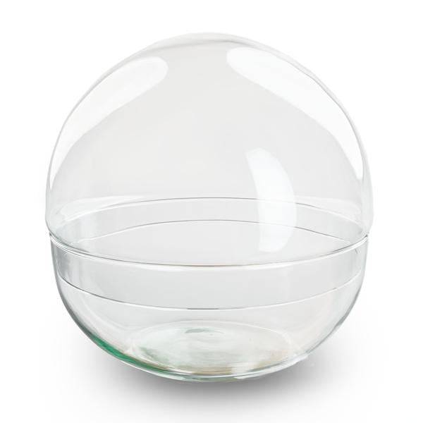 Flaschengarten – Terrarienflasche Dome – geschlossenes Kuppel – Terrarium aus recyceltem Glas – Ø28cm – ↑28cm – Klarglas – DIY Pflanzengefäß – Plant
