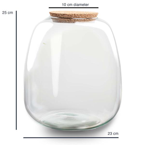 Terrarium Flasche Emma – Glasflasche 25x23cm – Dekoglas für Pflanzenterrarium, Flaschengarten & kreative Bepflanzungen – Deko – Plant