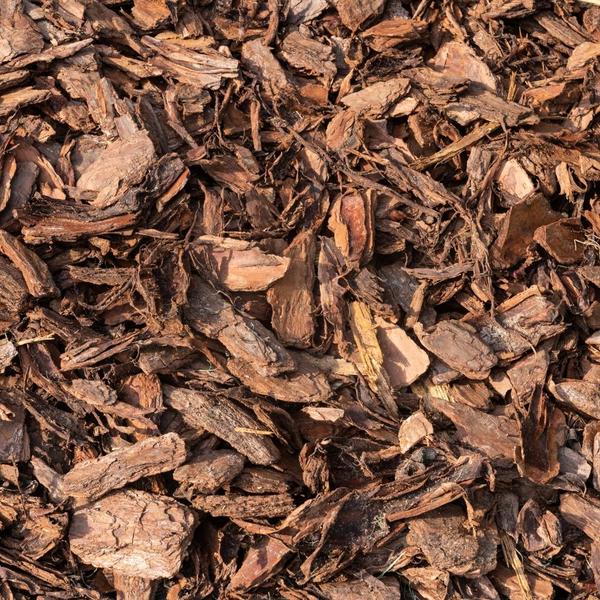 Premium Baumrinde 30-40mm Culvita Französische Seekiefer – hochwertiges Produkt für Pflanzen, Garten, Zuhause, Dekoration & moderne Einrichtung – Plant