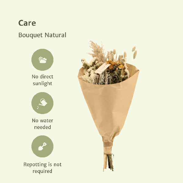 Trockenblumenstrauß – Feldblumen Natürlich – Ø20cm – 50cm hoch – Getrocknete Blumen & Graswedel – Natürliche Beigetöne & Weiß – Plant