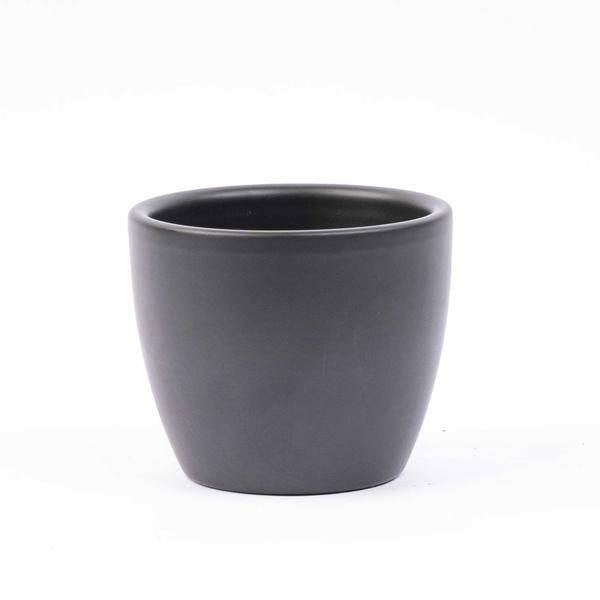 Zimmerpflanzen Set 6 Pflanzen mit Keramiktöpfen – pflegeleichtes Pflanzen Set für Urban Jungle, Fensterbank, Wohnzimmer & Büro – Plant