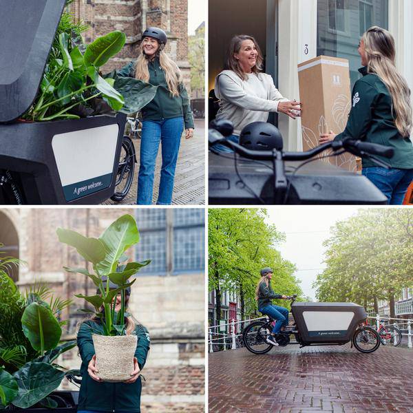 Außenseiterbox 8 Pflanzen Ø12cm – pflegeleichtes Pflanzen Set für Urban Jungle, Fensterbank, Wohnzimmer & Büro – Plant