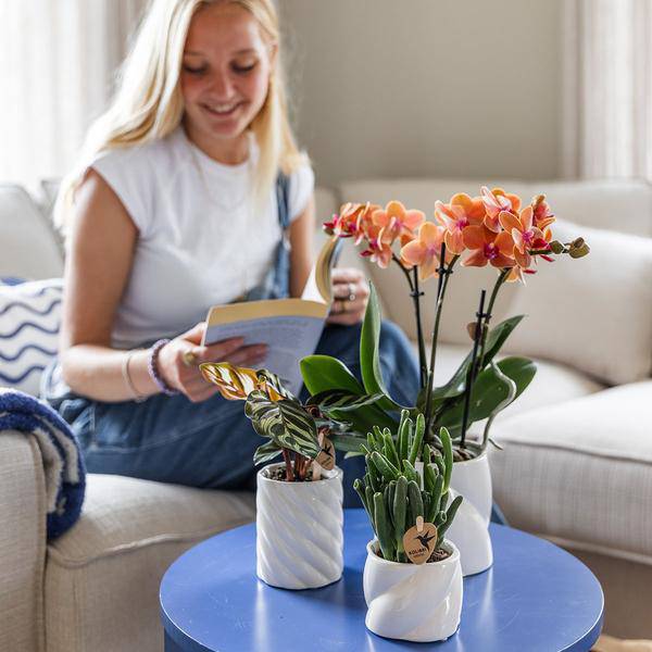 Dekotopf Candy Hoch – Weiß – Ø6cm – Eleganter Keramik Blumentopf in glänzender Optik – Hohe Form – Für Mini – Stilvolle Deko für Innenräume – Plant