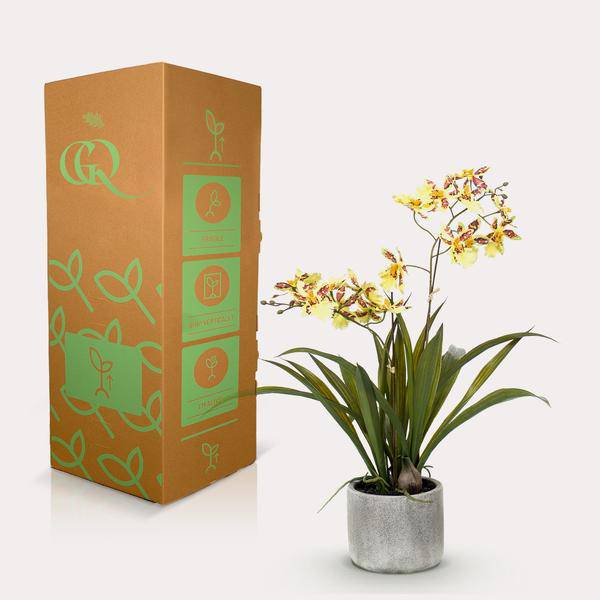 Künstliche Pflanze Orchidee – Gelb – Braun – 45cm – Täuschend echte Kunstorchidee im Topf – Dekoblume für Wohnzimmer, Schlafzimmer, Küche & Büro – Plant