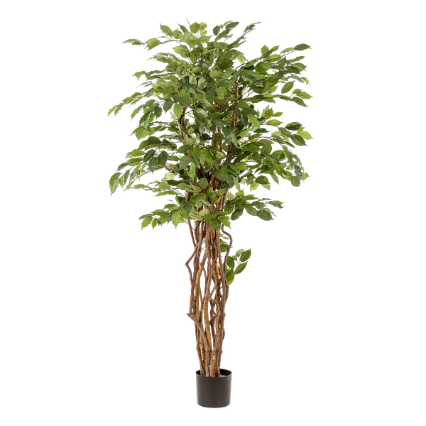 Ficus Liana – Künstliche Zimmerpflanze – ↕170cm – Realistische Stiefmütterchen – Pflanze – Dekoration für Wohnzimmer, Flur & Wintergarten – Plant