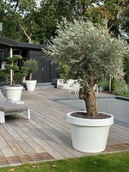 Topf Lira Weiß – Pflanzkübel Ø65cm x H58cm – Moderner weißer Pflanzgefäß – Wetterfest & Robust – Für große Zimmerpflanzen und Außenbereich – Plant