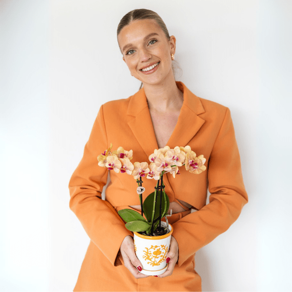 Malaga Blumentopf Orange Ø9cm – Keramiktopf in sommerlichem Design – Pflanzentopf für Zimmerpflanzen & Kräuter – Plant