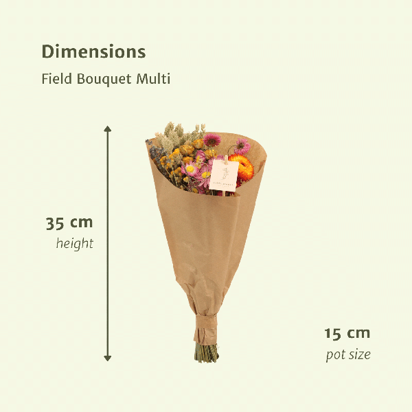 Trockenblumen Feldblumenstrauß Multi Buntes Trockenblumen Bouquet Ø15cm ↕35cm – dekorativer Trockenblumenstrauß für Vase, Tischdeko, Wohnzimmer – Plant