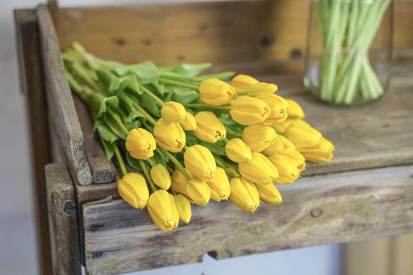 Tulpenstrauß Gelb – 10 Kunsttulpen – 42cm – Real Touch – Fröhliche & langlebige Wohnraumdekoration – Plant