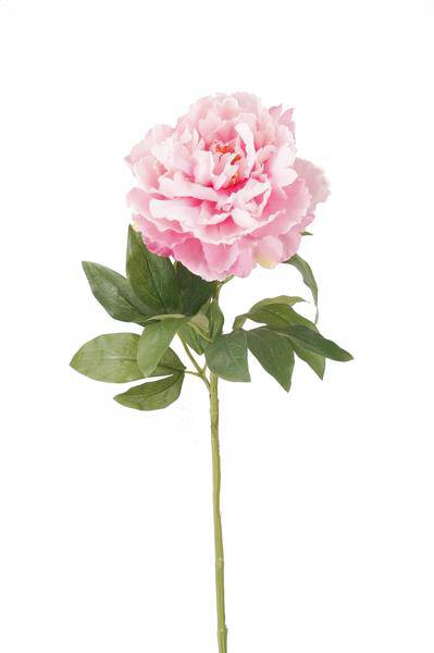 Künstliche Blumenstrauß Pfingstrosen Hellrosa – 5 Stück je 65cm – Realistische Kunstblumen – Romantischer Deko Blumenstrauß – Plant