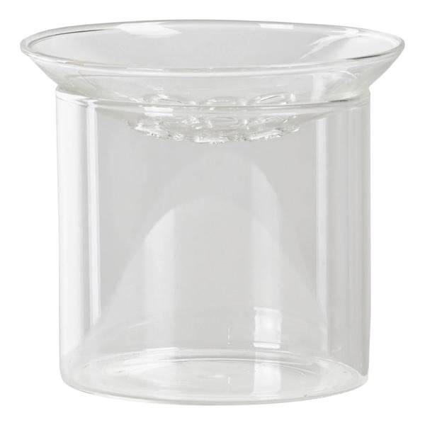 Vermehrungsvase S Zimmerpflanze Ø9cm ↕8cm – pflegeleichte Grünpflanze für Wohnzimmer, Büro & helle Standorte kaufen – Plant