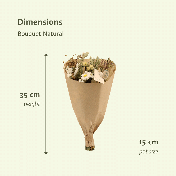 Trockenblumen Feldblumenstrauß Natürlich – Blumenstrauß – Ø15cm ↕35cm – Natürliche Farben – Getrocknete Blumen – Nachhaltige Deko – Pflegefrei – Plant
