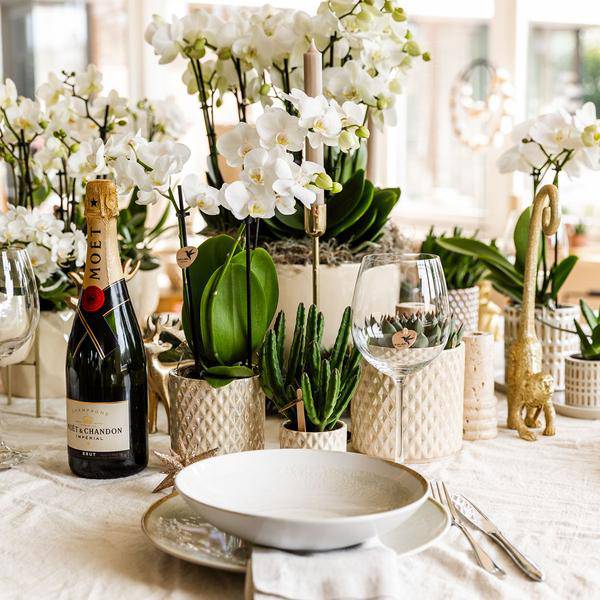 Diamant Perle Dekotopf – Sand – Ø9cm – Blumentopf in Steinoptik – Eleganter Dekotopf für Zimmerpflanzen, Sukkulenten & Kakteen – Plant