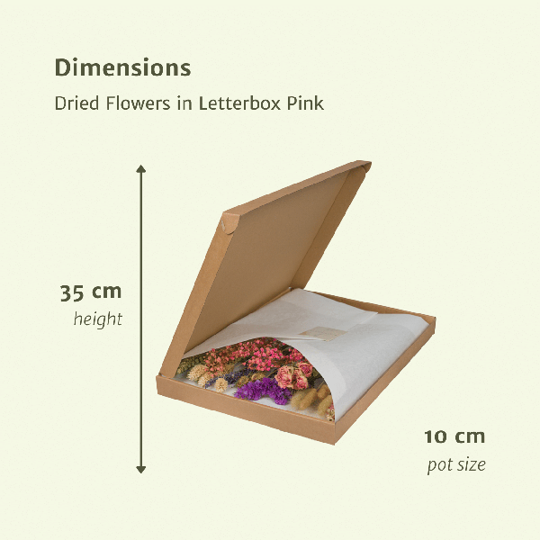 Trockenblumen im Briefkasten Rosa – Eleganter getrockneter Blumenstrauß – Sanfte Weiß – , Beige – & Hellrosa – Töne – Pflegefreie Deko – Plant