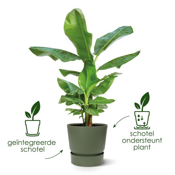 Greenville Pflanztopf Grün – D24 x H23 – Blumentopf für Innen & Außen – Stilvolles Pflanzgefäß – Eleganter Übertopf für Zimmerpflanzen & Garten – Plant