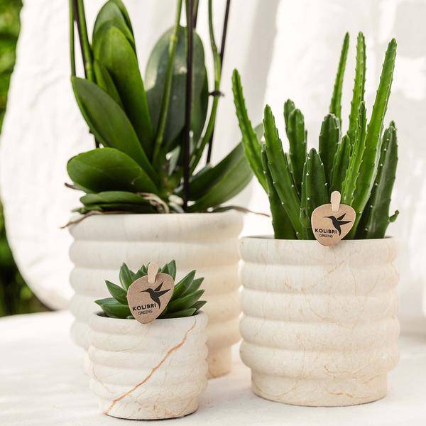 Dekotopf Marmor – Hell – Ø6cm – Eleganter Keramik Blumentopf in Marmoroptik – Zeitloses Design – Für Mini-Pflanzen, Sukkulenten & Kakteen – Plant