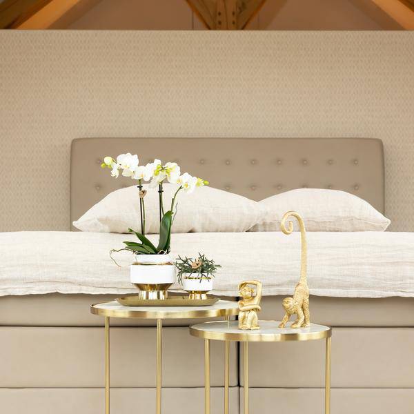 Weiße Phalaenopsis Orchidee Amabilis – 2-3 Zweige – Ø9cm Le Chic Deko – Topf – Gold mit weißen Details – Blühende Zimmerpflanze – 40cm hoch – Plant