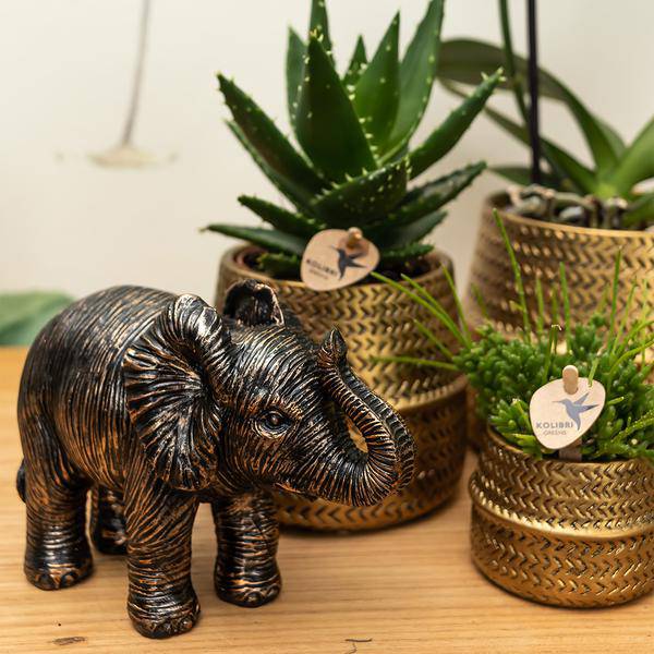 Groove Blumentopf Gold – Keramik – Topf mit mattem Finish – Ø12cm – Robustes, strukturiertes Design – Eleganter Pflanztopf fürs Wohnzimmer – Plant