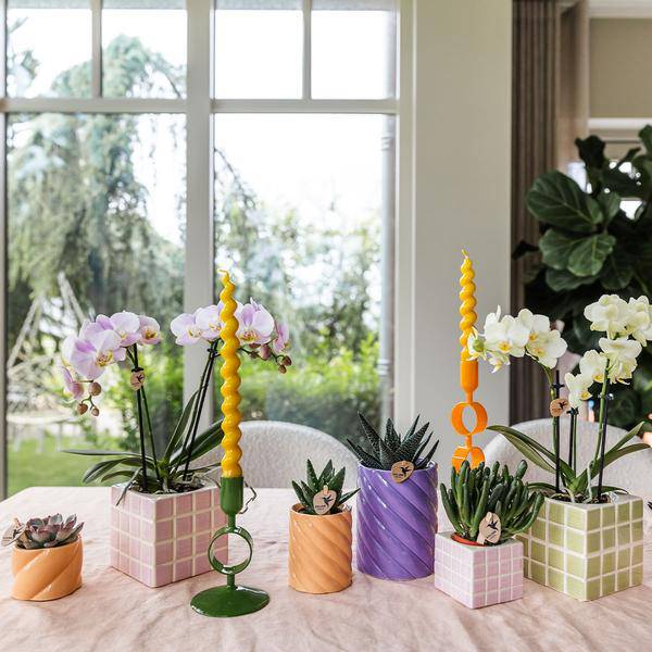 Candy Dekotopf Pfirsich – Ø6cm – Keramik Übertopf in Pastellfarbe – Stilvoller Blumentopf für Zimmerpflanzen & Orchideen – Fröhlicher Pflanzentopf – Plant
