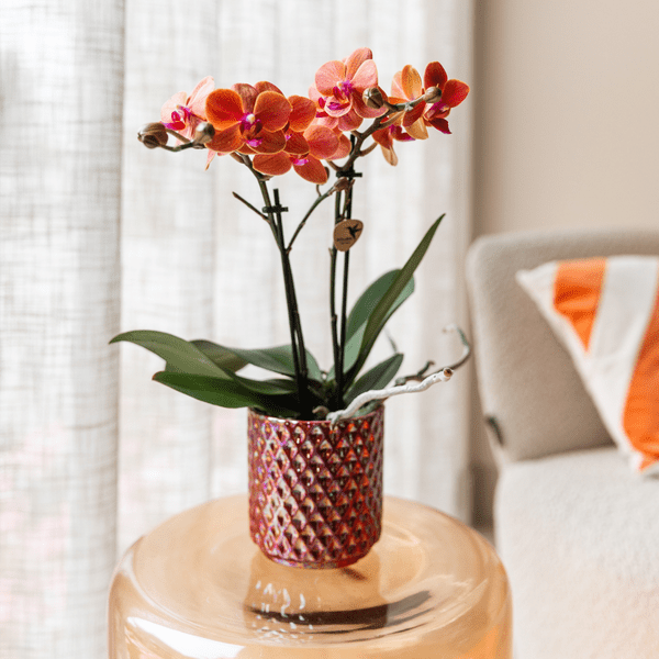 Diamant Perle Dekotopf – Rot – Ø6cm – Keramik Blumentopf mit edlem Glanz – Pflanztopf im modernen Design – Plant
