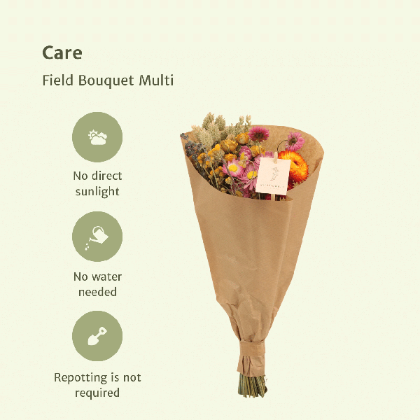 Trockenblumen Feldblumenstrauß Multi Buntes Trockenblumen Bouquet Ø15cm ↕35cm – dekorativer Trockenblumenstrauß für Vase, Tischdeko, Wohnzimmer – Plant