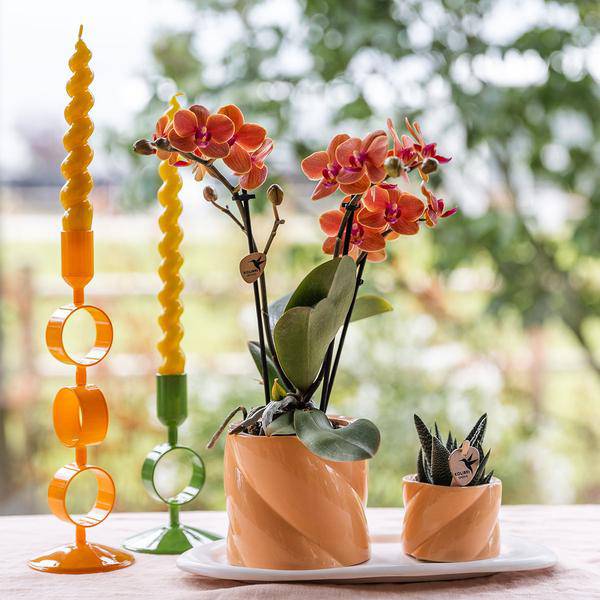 Dekotopf Candy – Pfirsich – Ø6cm – Farbiger Keramik Blumentopf in glänzender Optik – Runde Form – Für Mini-Pflanzen & Orchideen – Plant