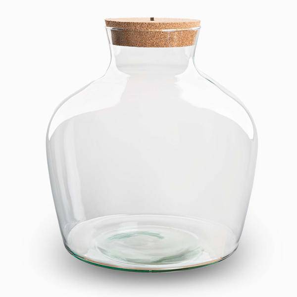Flaschengarten Terrarienflasche Fat Joe ↕30cm – pflegeleichter Flaschengarten im Glas, Pflanzen Terrarium für Wohnzimmer & Büro – Plant