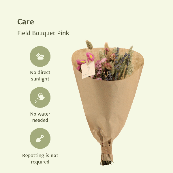 Trockenblumen Feldblumenstrauß Rosa Ø15cm ↕35cm – dekorativer Trockenblumenstrauß für Vase, Tischdeko, Wohnzimmer & Geschenkidee – Plant