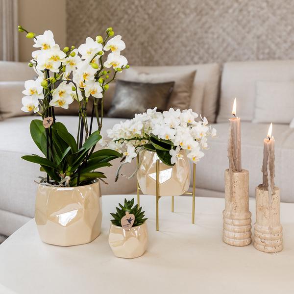 Pearl Blumentopf glänzend in Blau, Grün, Rosa oder Travertin – Eleganter Übertopf Ø6cm Ø9cm Ø12cm – Pflanzgefäß für Zimmerpflanzen & Deko – Plant