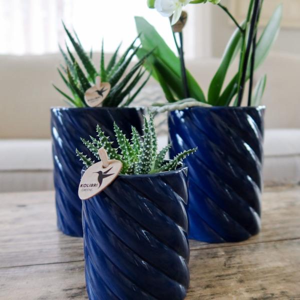 Candy Dekotopf – Hoch – Blau – Ø9cm – Moderner Keramiktopf in kräftigen Farben – Stilvoller Pflanzentopf für Zimmerpflanzen, Orchideen & Sukkulenten – Plant