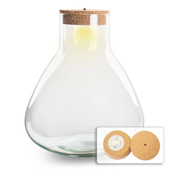 Flaschengarten ↕32cm – pflegeleichter Flaschengarten im Glas, Pflanzen Terrarium für Wohnzimmer & Büro – Plant