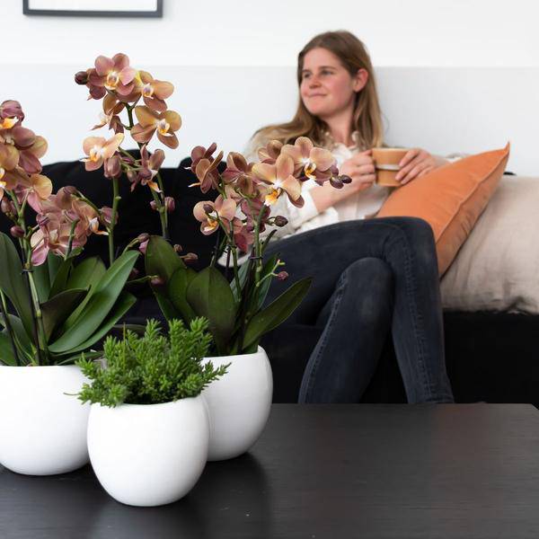 Blumentopf Bowl – Weiß – Keramik – Ziertopf Ø9cm – Handgefertigter Übertopf mit Wellenrand – Für Zimmerpflanzen & Sukkulenten – Plant