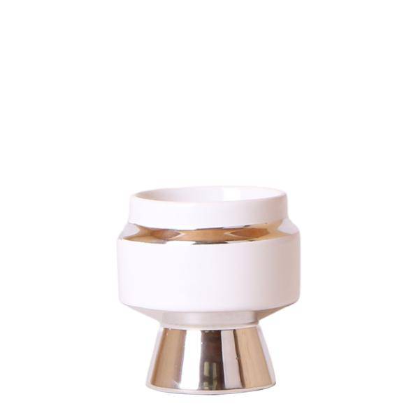 Le Chic Blumentopf Zimmerpflanze Ø6cm mit dekorativem Übertopf – blühende Orchidee für Wohnzimmer, Büro & helle Standorte kaufen – Plant