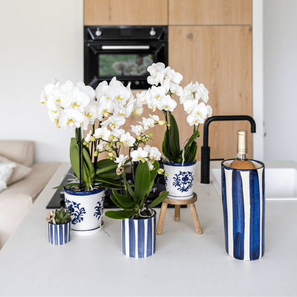 Ziertopf Painted Stripe – Blau – Ø6cm – Keramiktopf mit Streifenmuster – Stilvolles Wohnaccessoire für kleine Zimmerpflanzen, Sukkulenten & Kakteen – Plant