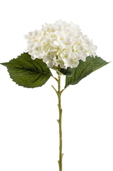 Künstliche Hortensien – Weiß – 52cm – 8er – Set – Realistische Kunstblumen – Blumenstrauß Deko – Dauerhaft & Pflegeleicht – Plant