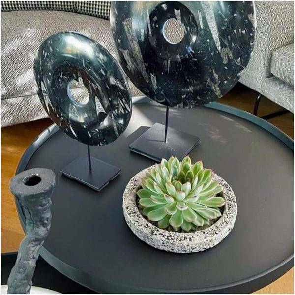 Sukkulente Echeveria pulidonis Rootless Zimmerpflanze Ø20cm – pflegeleichte Sukkulente für Wohnzimmer, Büro & helle Standorte kaufen – Plant