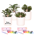 DIY Blumentopf – Bemalset mit Sukkulenten – Malset für 4 Personen – Inkl. 4 Deko – Töpfe, 4 Mini – Sukkulenten, 24 Farben & Pinsel – Set – Plant