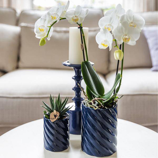 Candy Dekotopf – Hoch – Blau – Ø9cm – Moderner Keramiktopf in kräftigen Farben – Stilvoller Pflanzentopf für Zimmerpflanzen, Orchideen & Sukkulenten – Plant