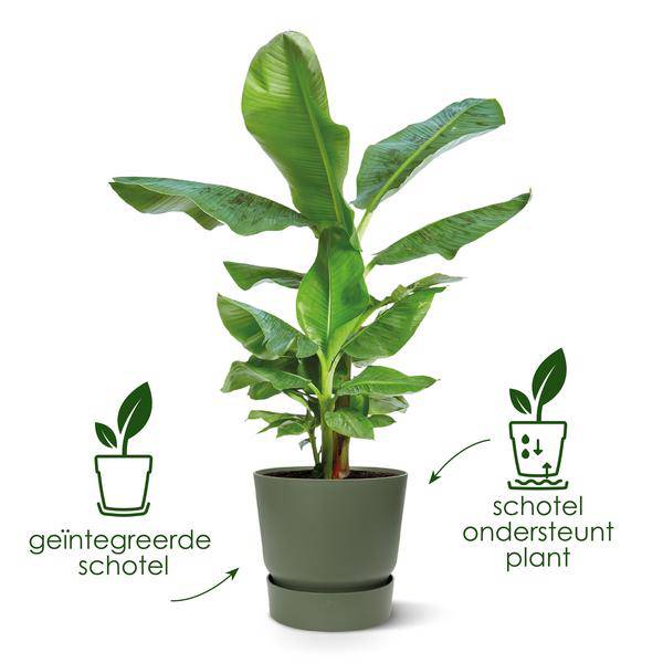 Greenville Pflanztopf Grün – D18 x H17 – Blumentopf für Innen & Außen – Stilvolles Pflanzgefäß – Dekorativer Übertopf für Zimmerpflanzen & Balkon – Plant