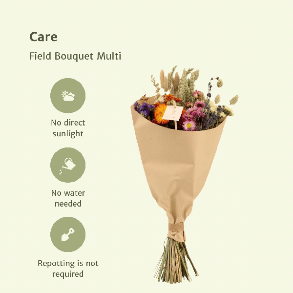 Trockenblumen Feldblumenstrauß Multi Ø20cm ↕50cm – dekorativer Trockenblumenstrauß für Vase, Tischdeko, Wohnzimmer & Geschenkidee – Plant